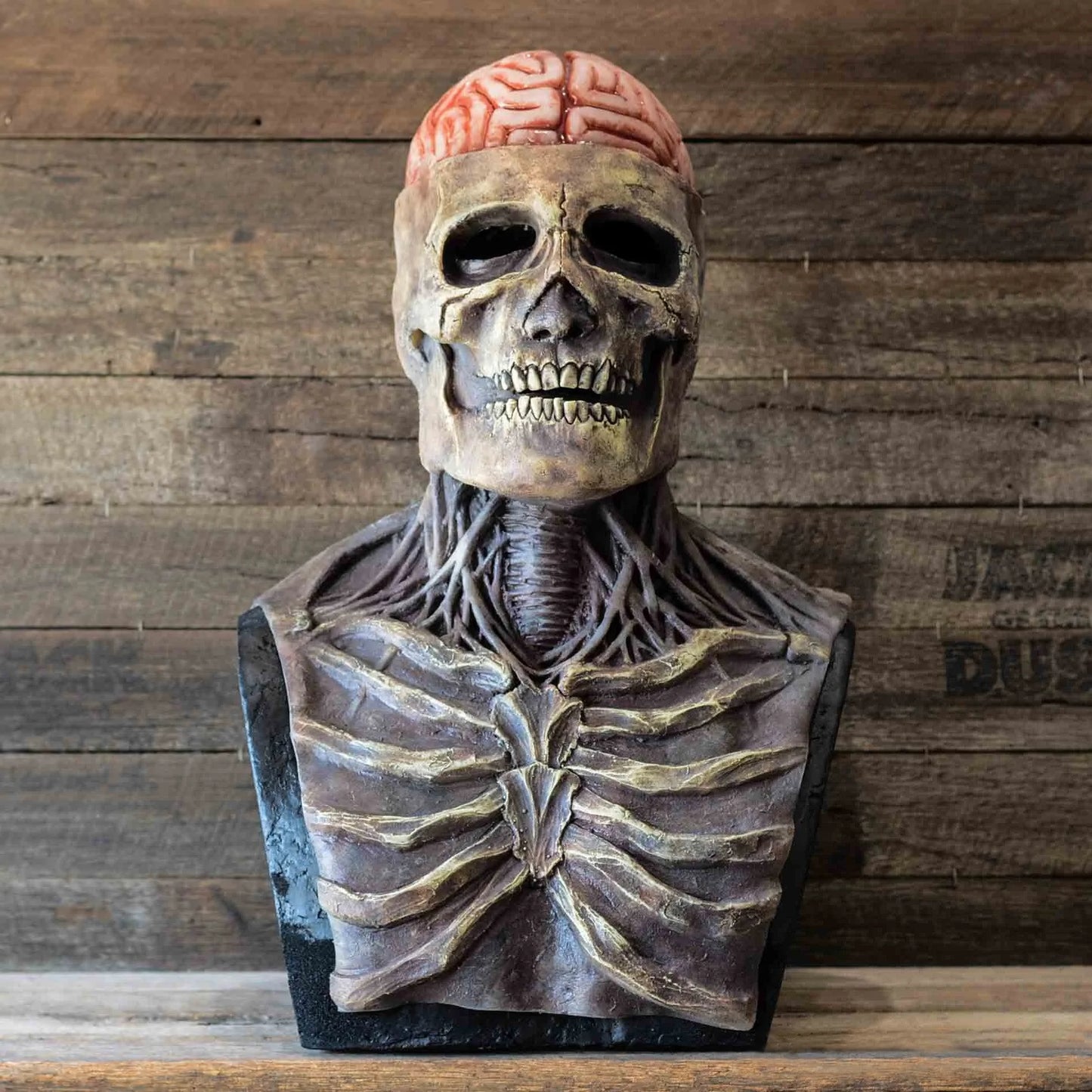 Full Head Skull Skeleton Mask Halloween Costume